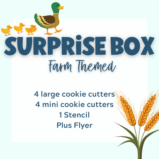 Monthly Surprise Box