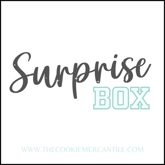 Monthly Surprise Box - SUBSCRIPTION